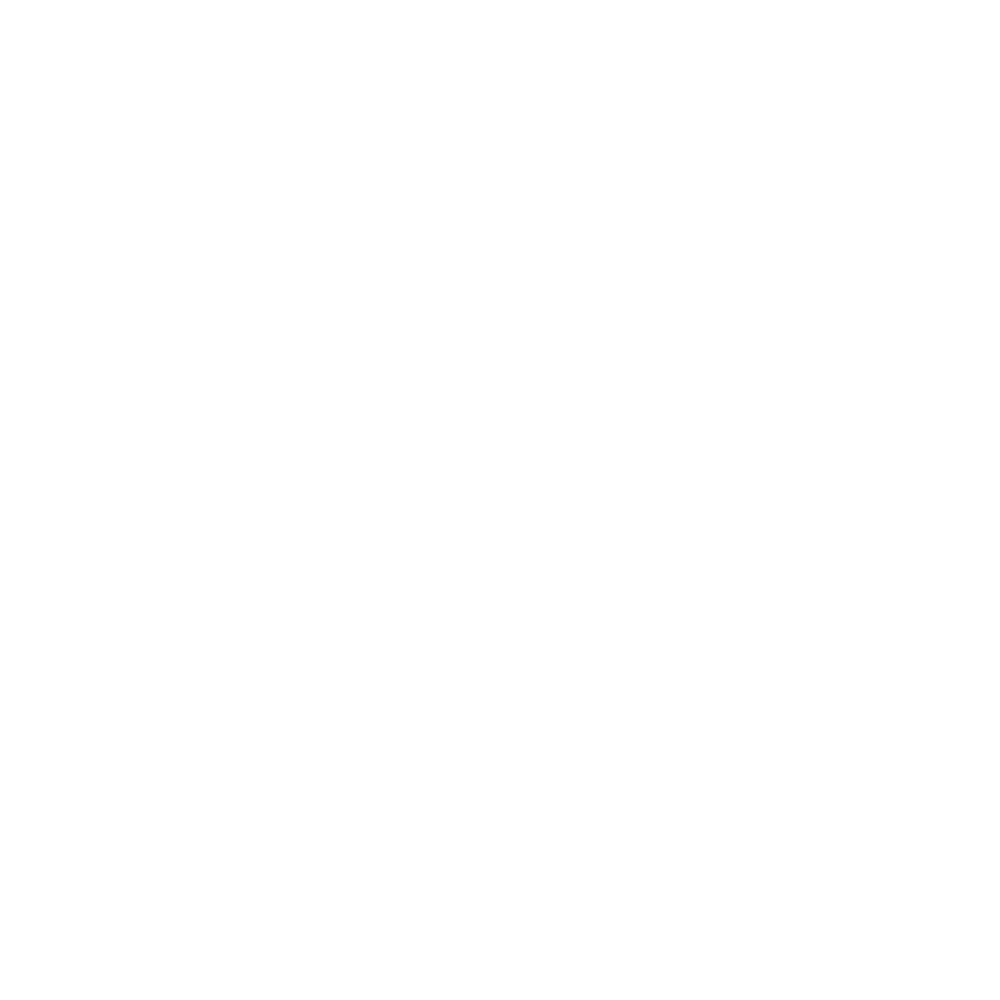 WS